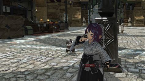 FF14 Best Roulette For Leveling [Top 5] .